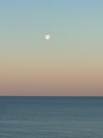 Early morning view