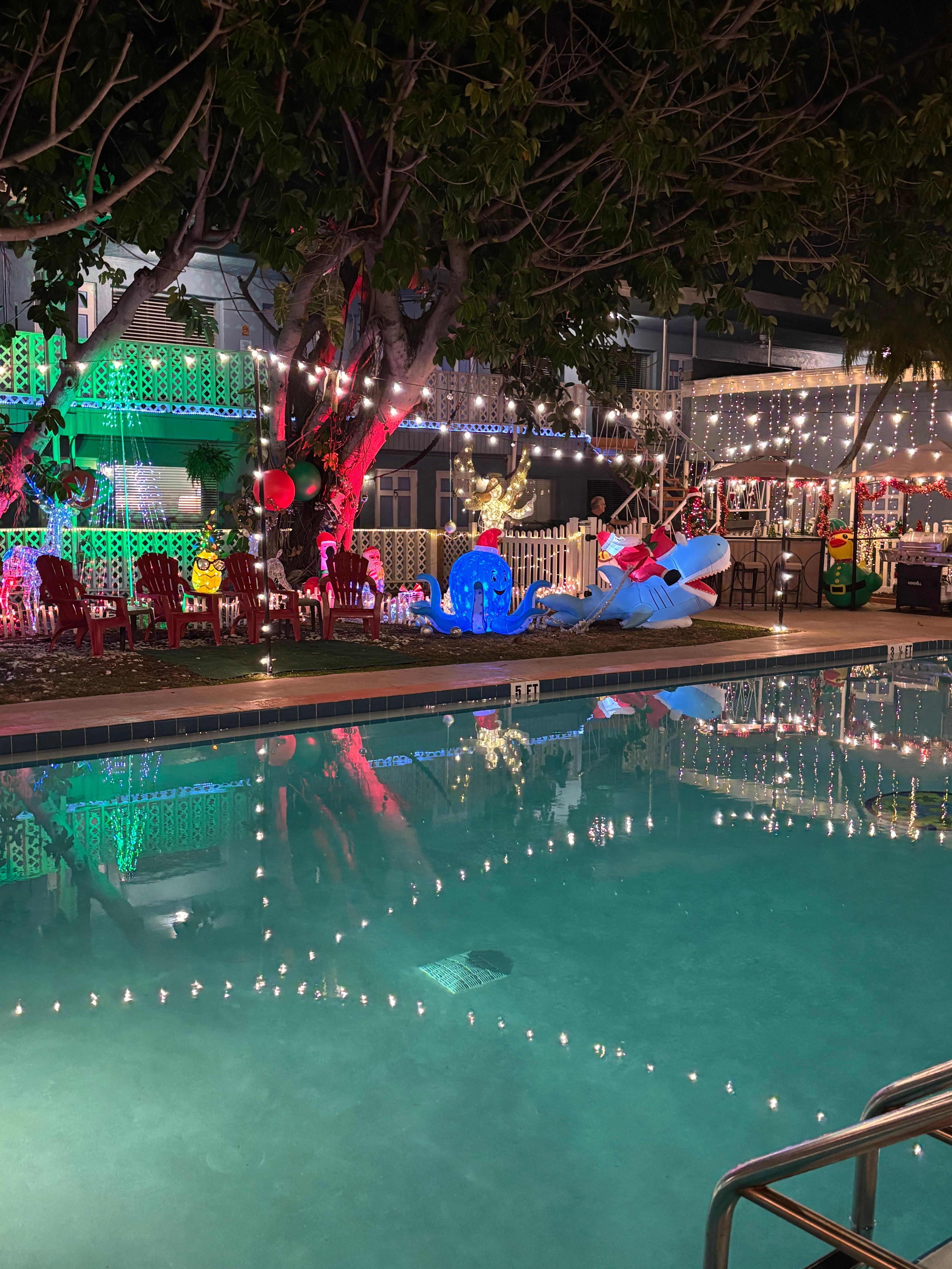 Christmas shines bright!