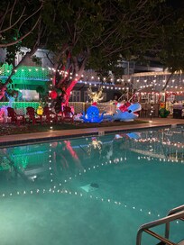 Christmas shines bright!