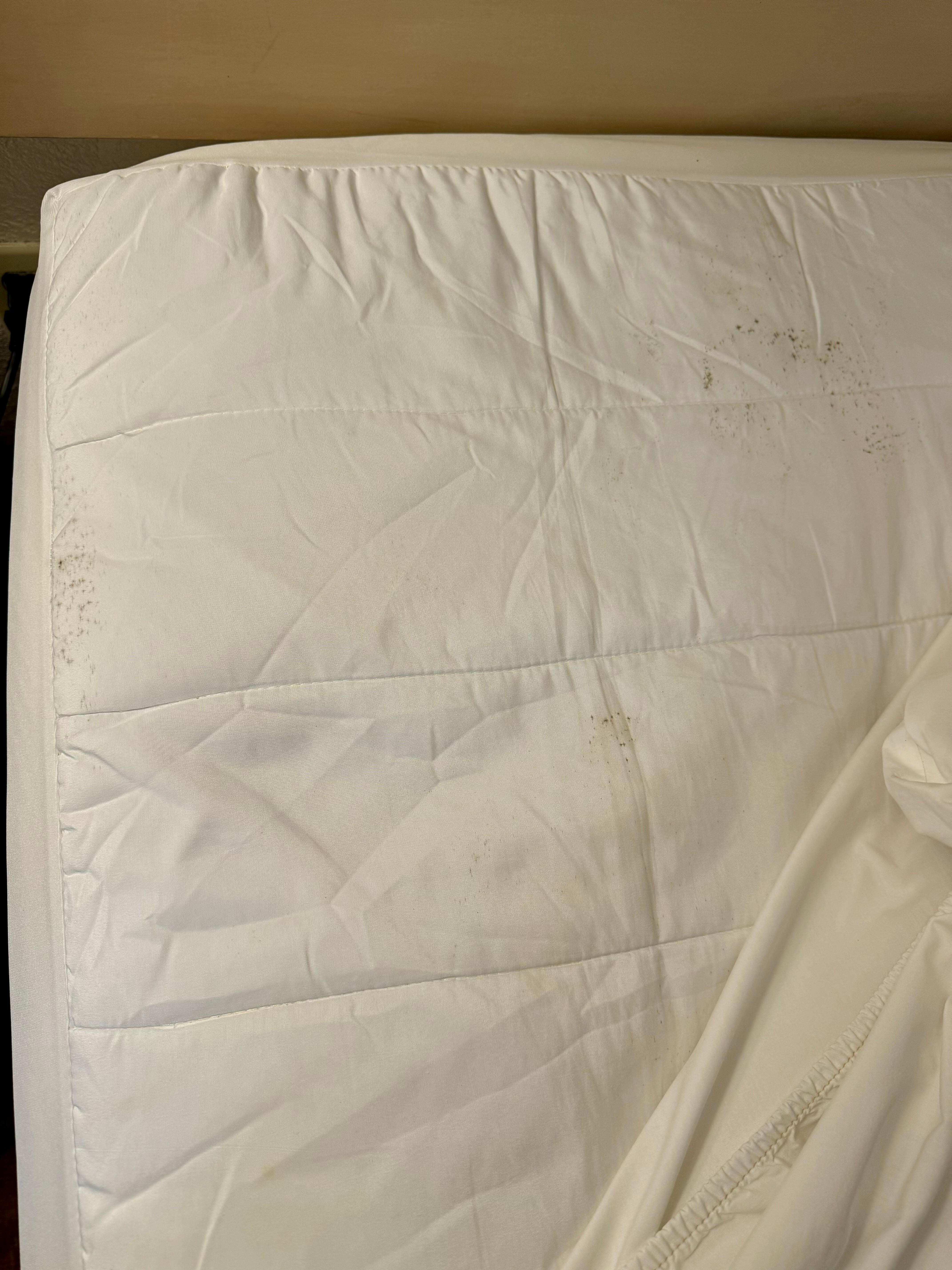Mold on the bed cover