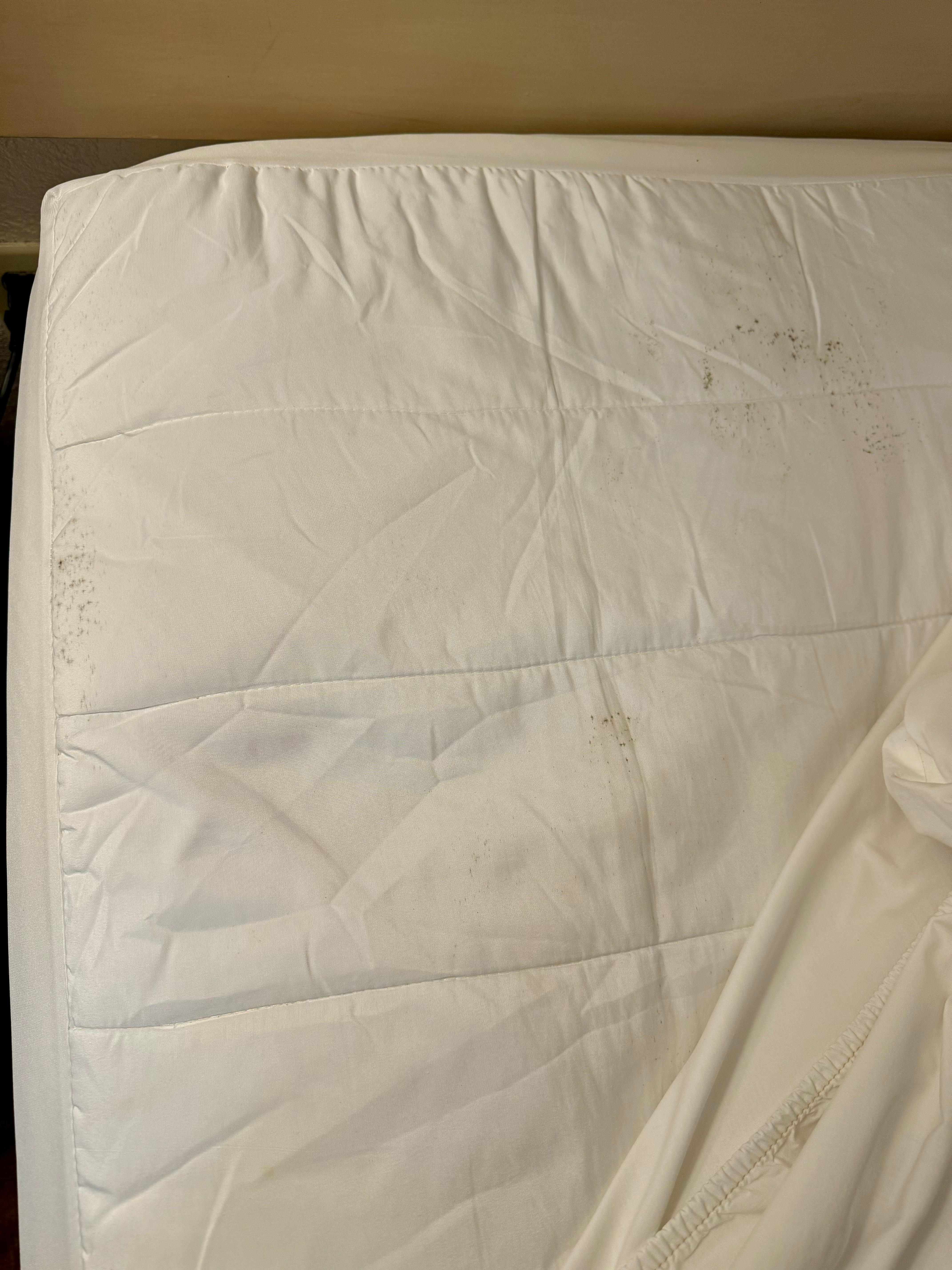 Mold on the bed cover