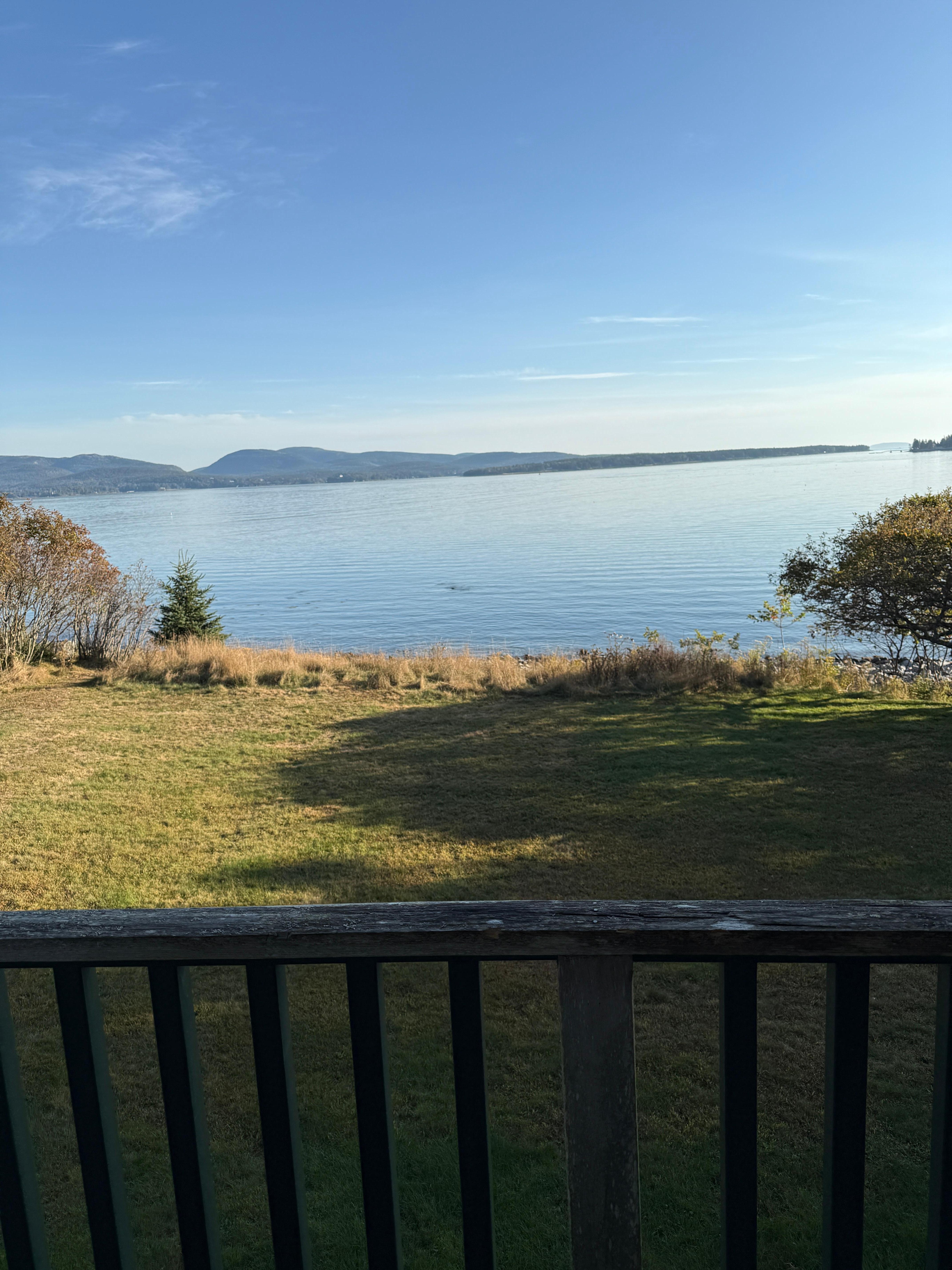 The view. The yard was visited by deer and wild turkeys. 
