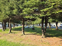 The outside common area with the fire pit
