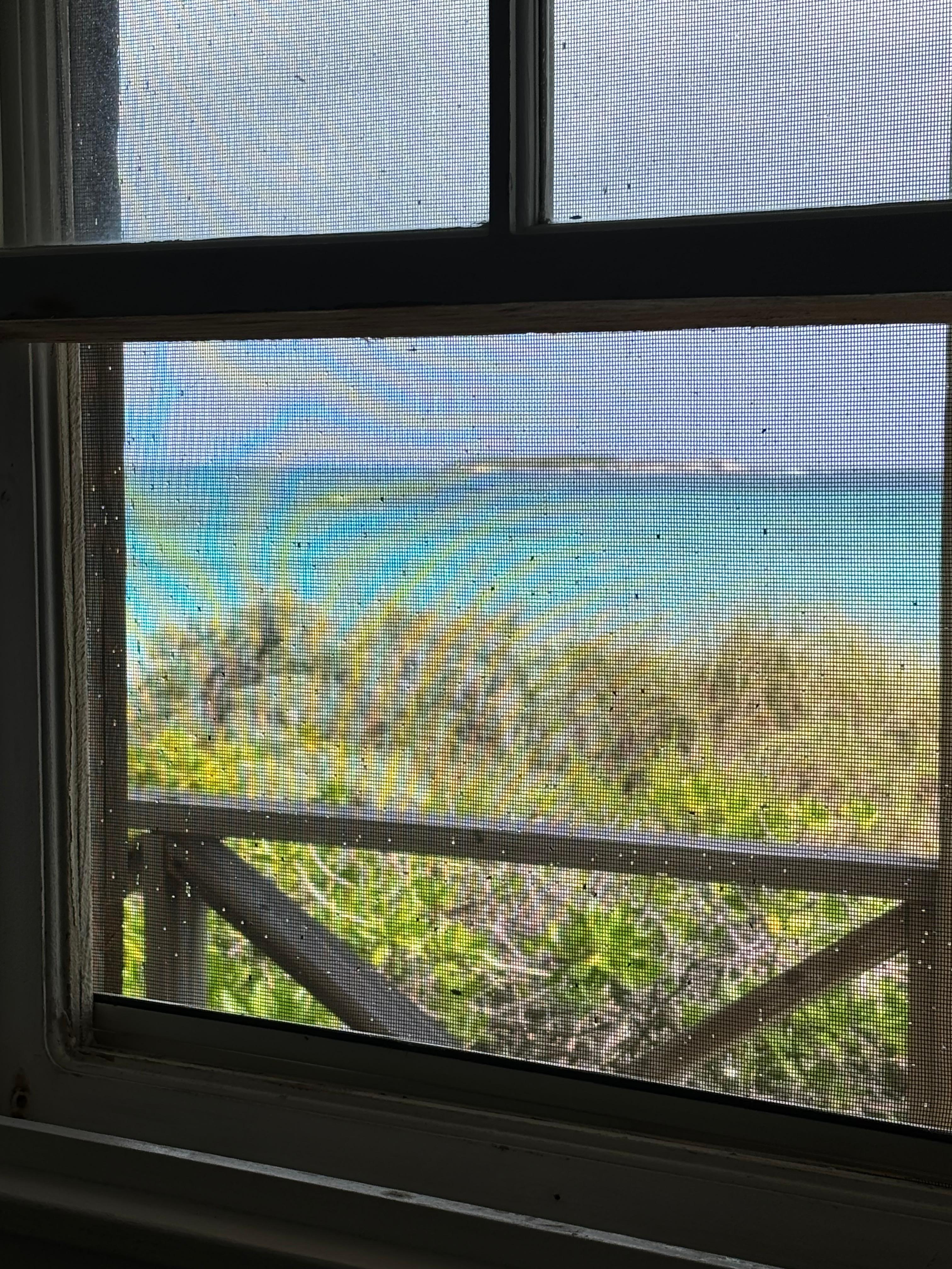 From the bedroom window