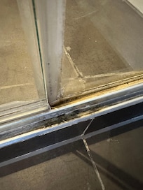 Mould in shower