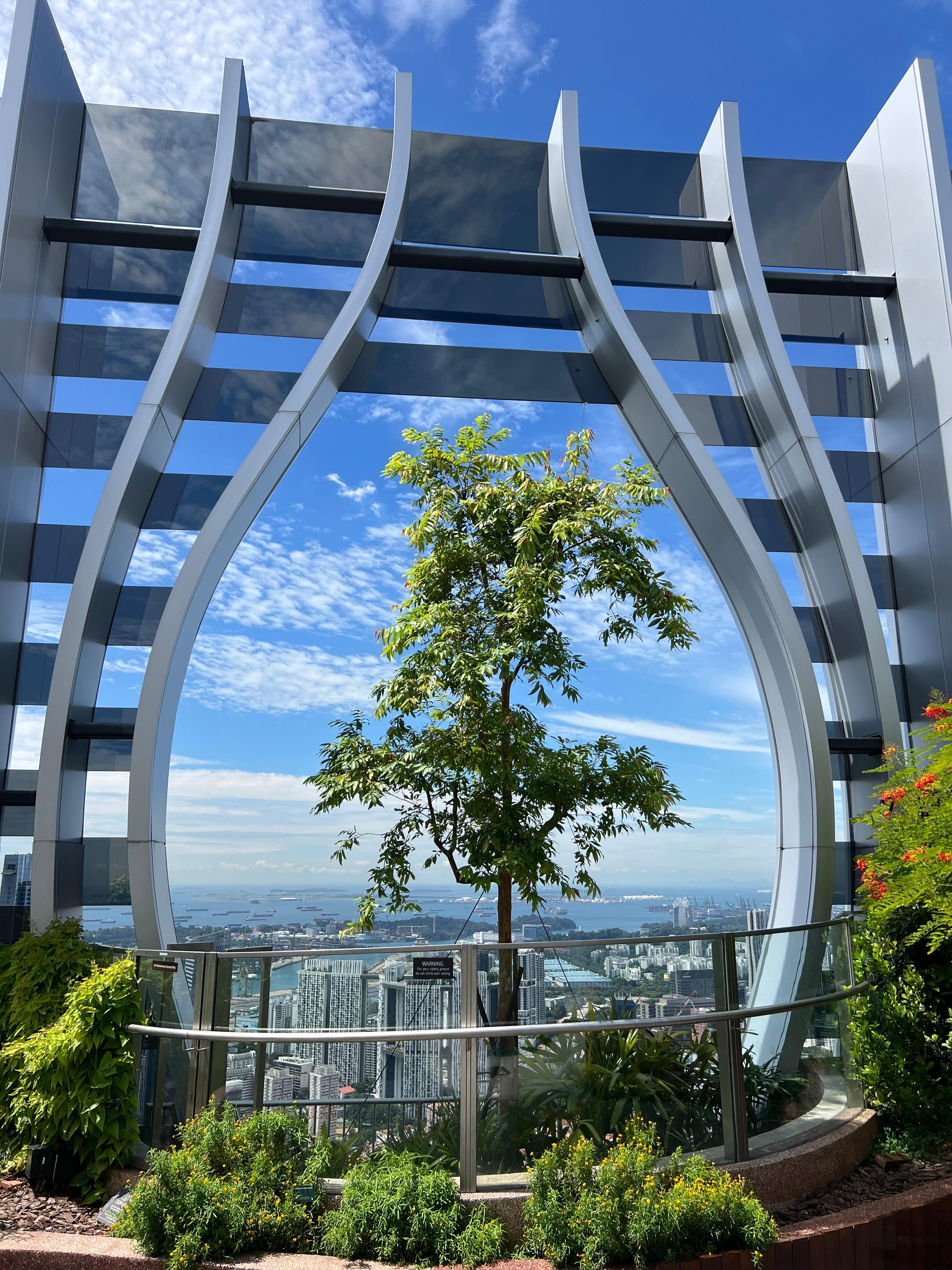 51st floor gardens 