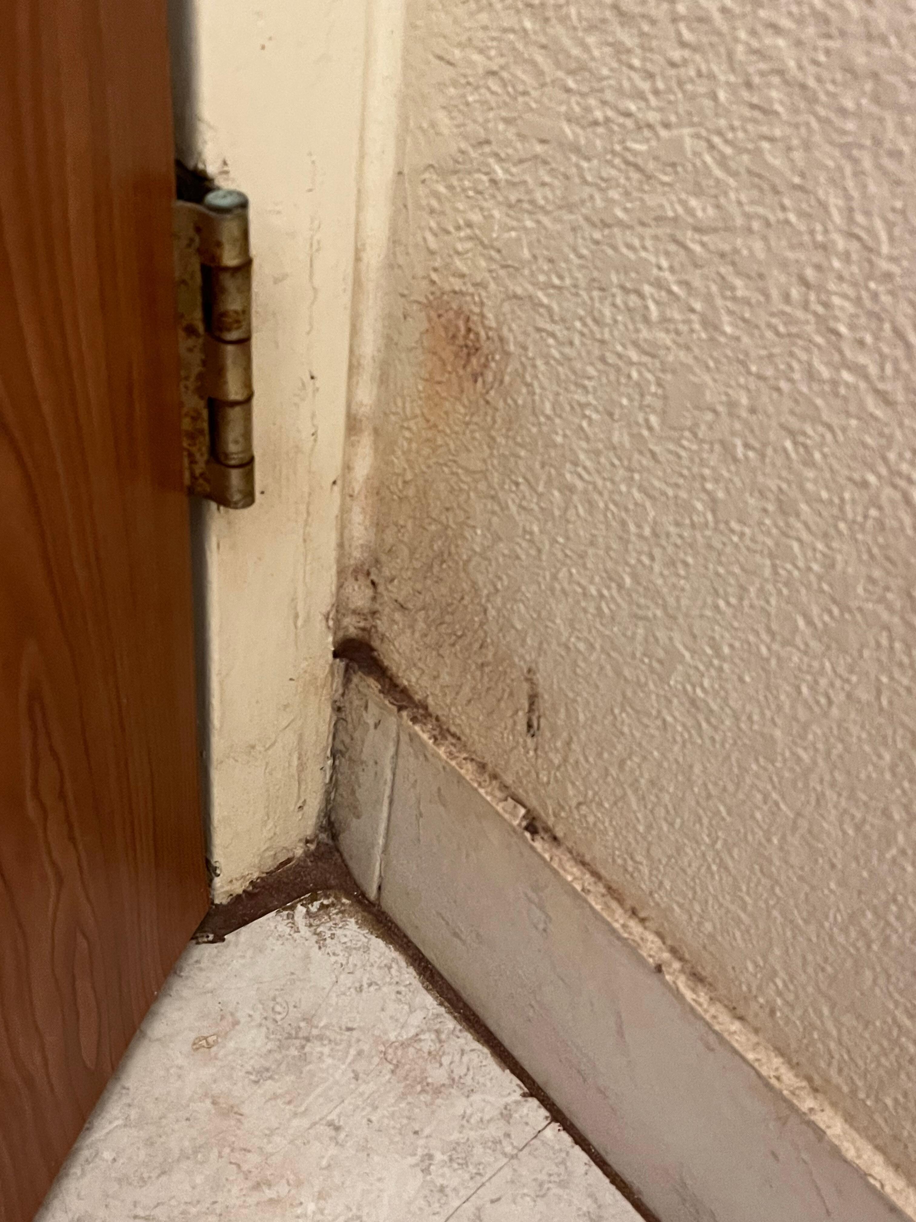 Bathroom wall