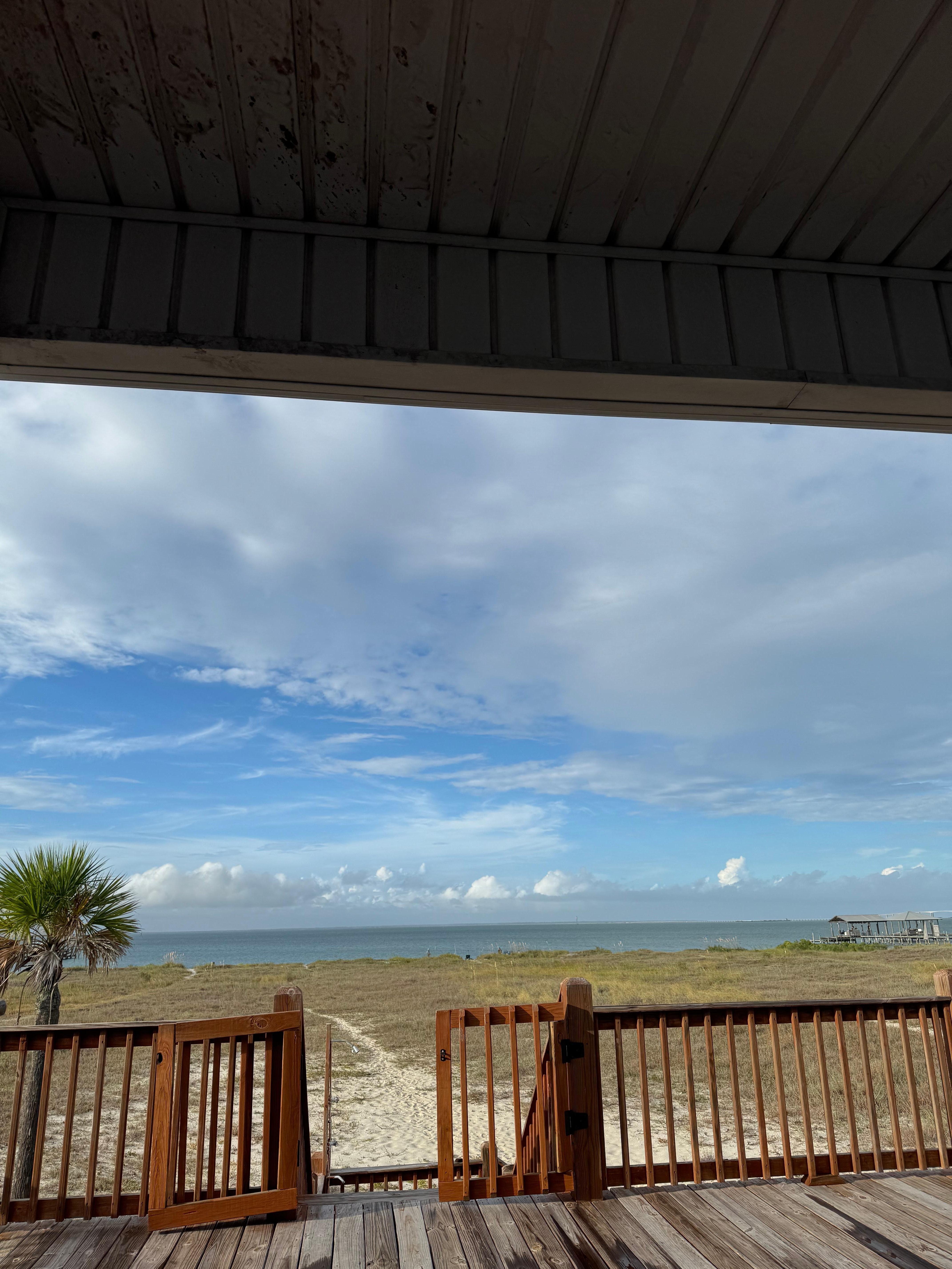 View from the back porch.