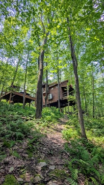 Treehouse from the trails below