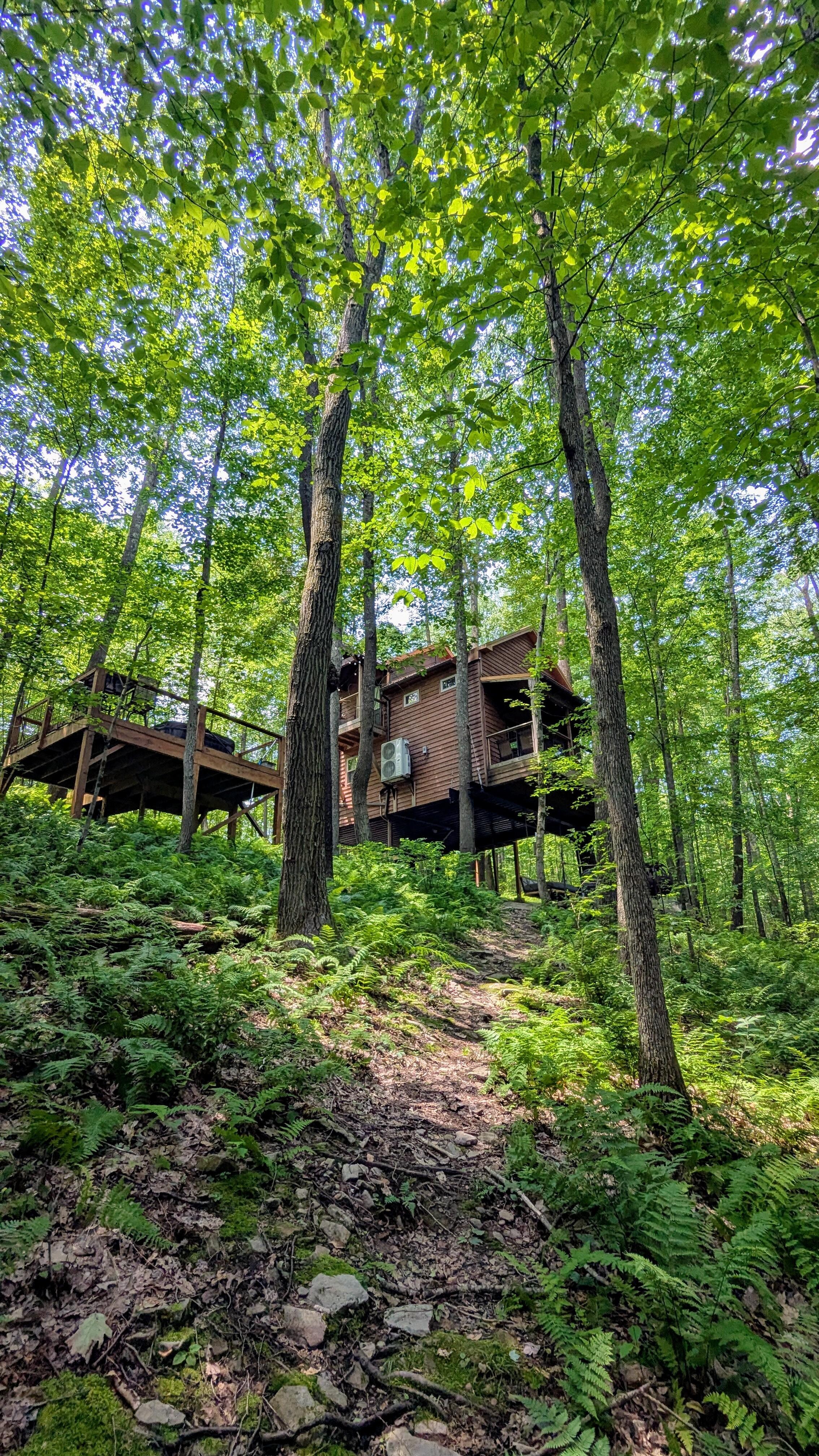 Treehouse from the trails below