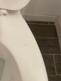 Pubic hair not clean off and seat left up making it seem as if another was already in room.