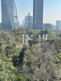 View from Chapultepec Castle