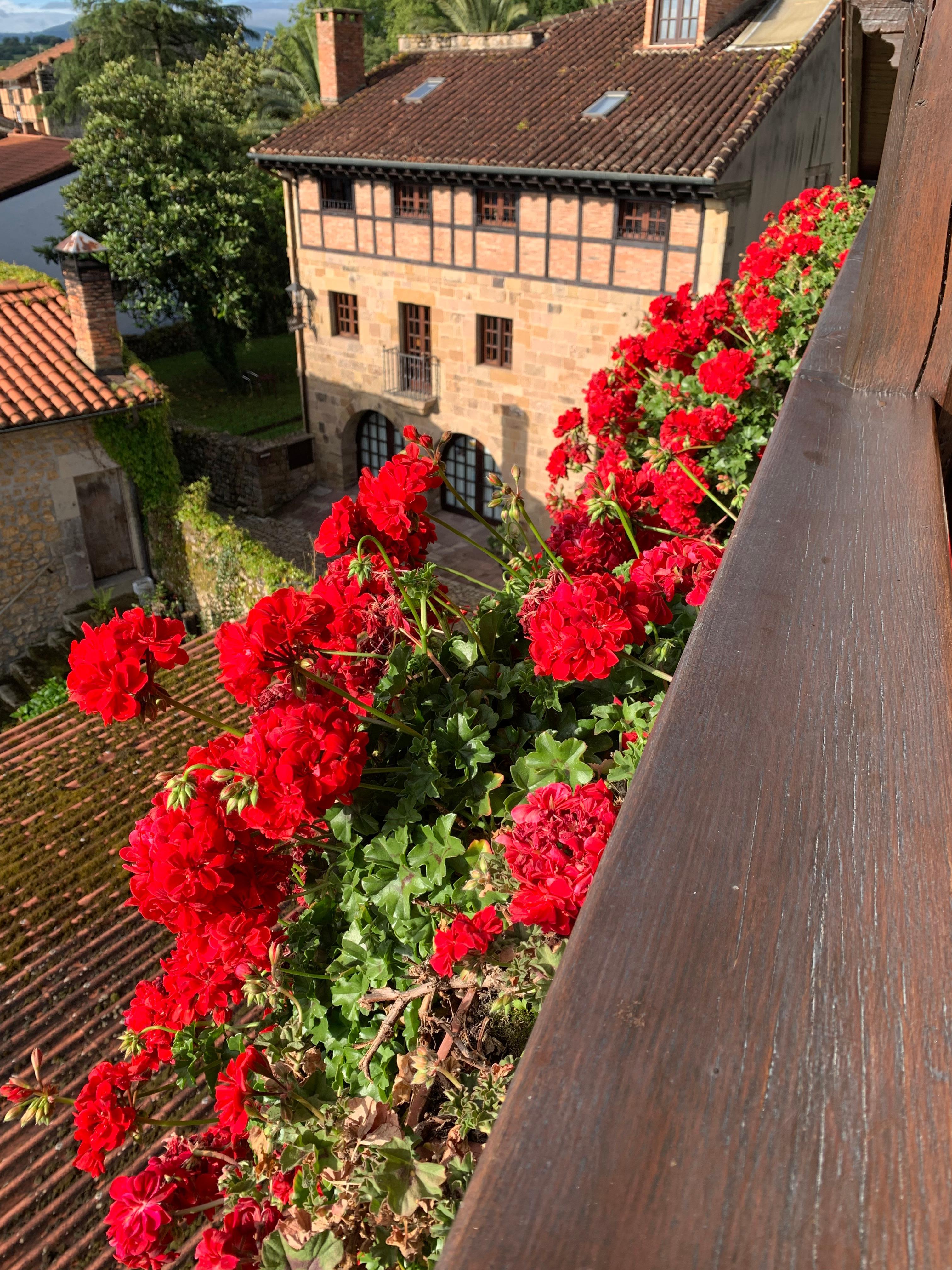 The view from our balcony