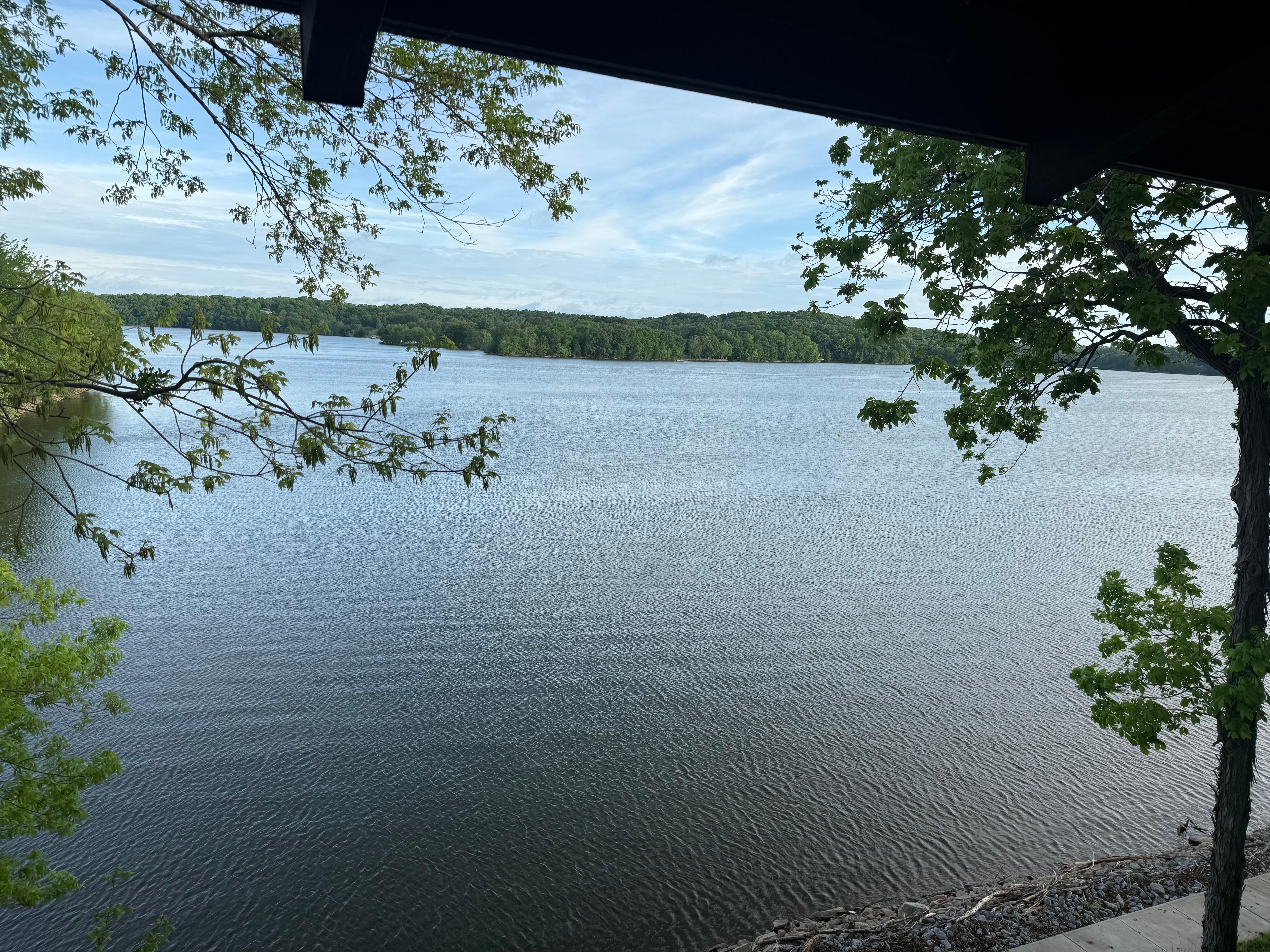 View from balcony at the room