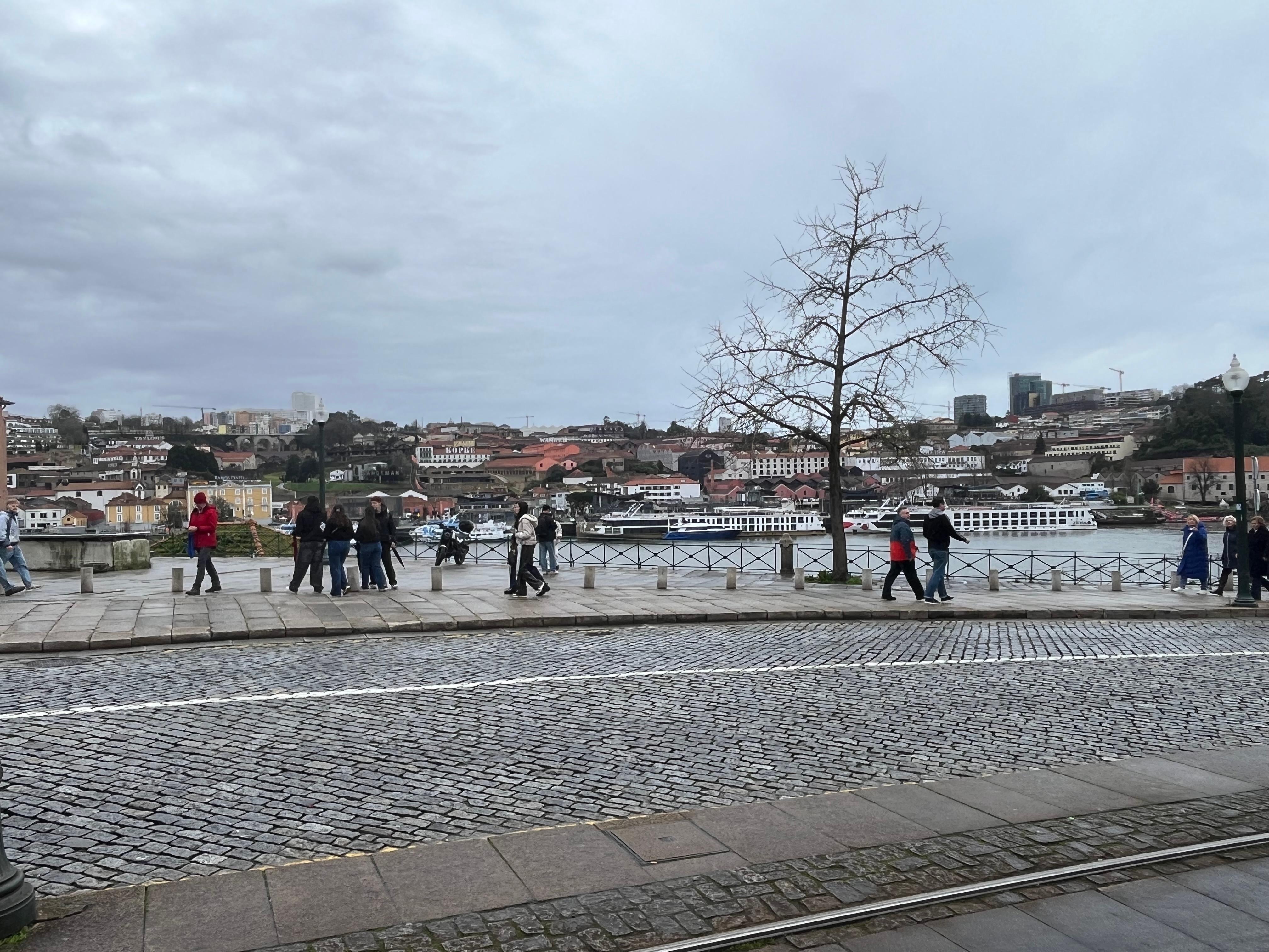 View across the river 