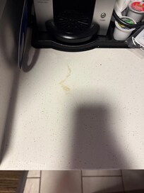 Stain on counter top