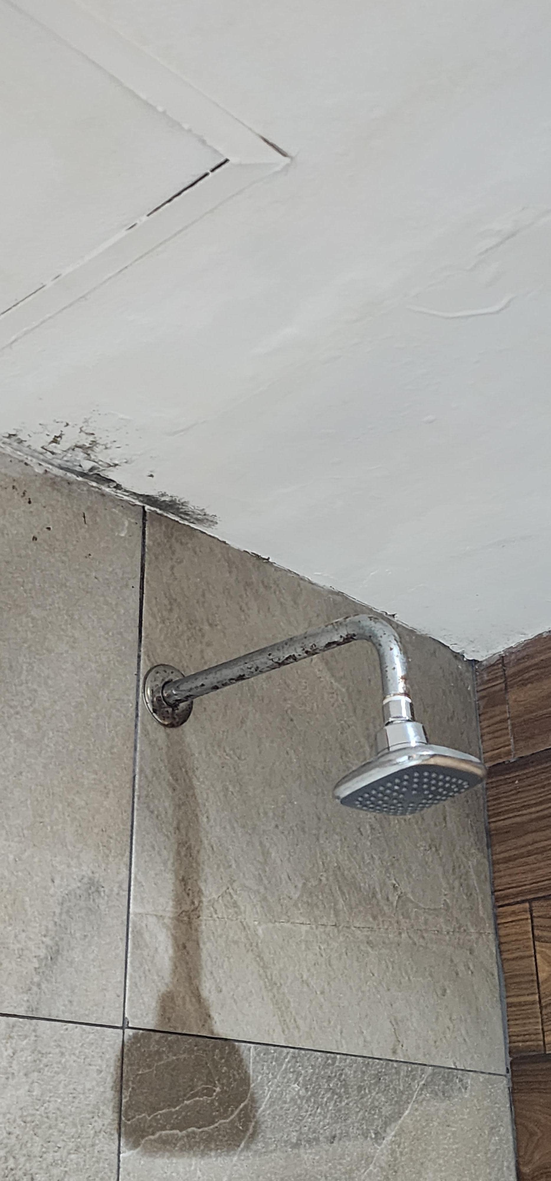 Mold in shower