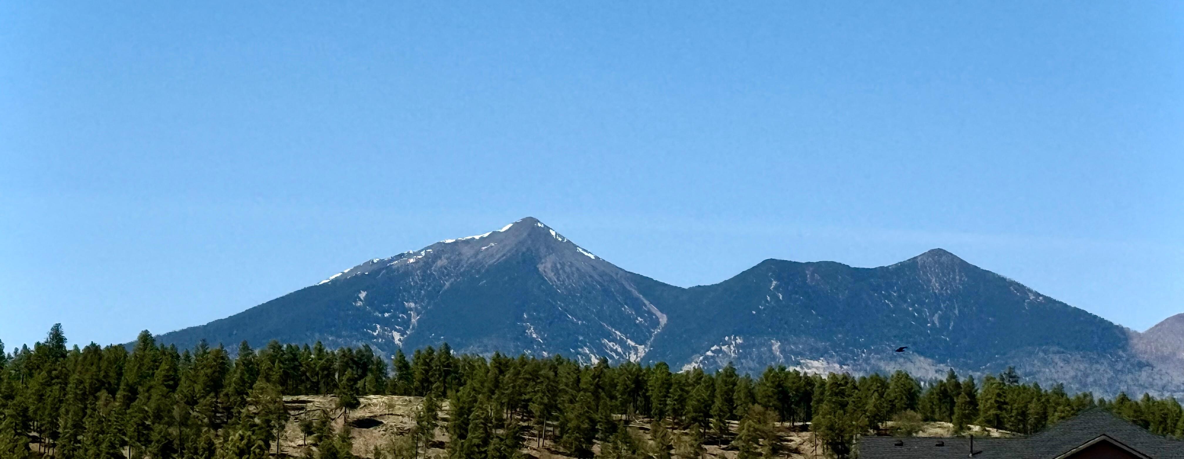 Peaceful summer view! 