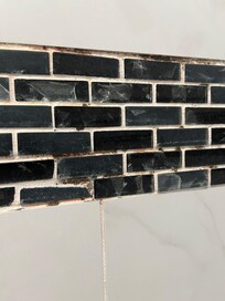 Black mold in shower