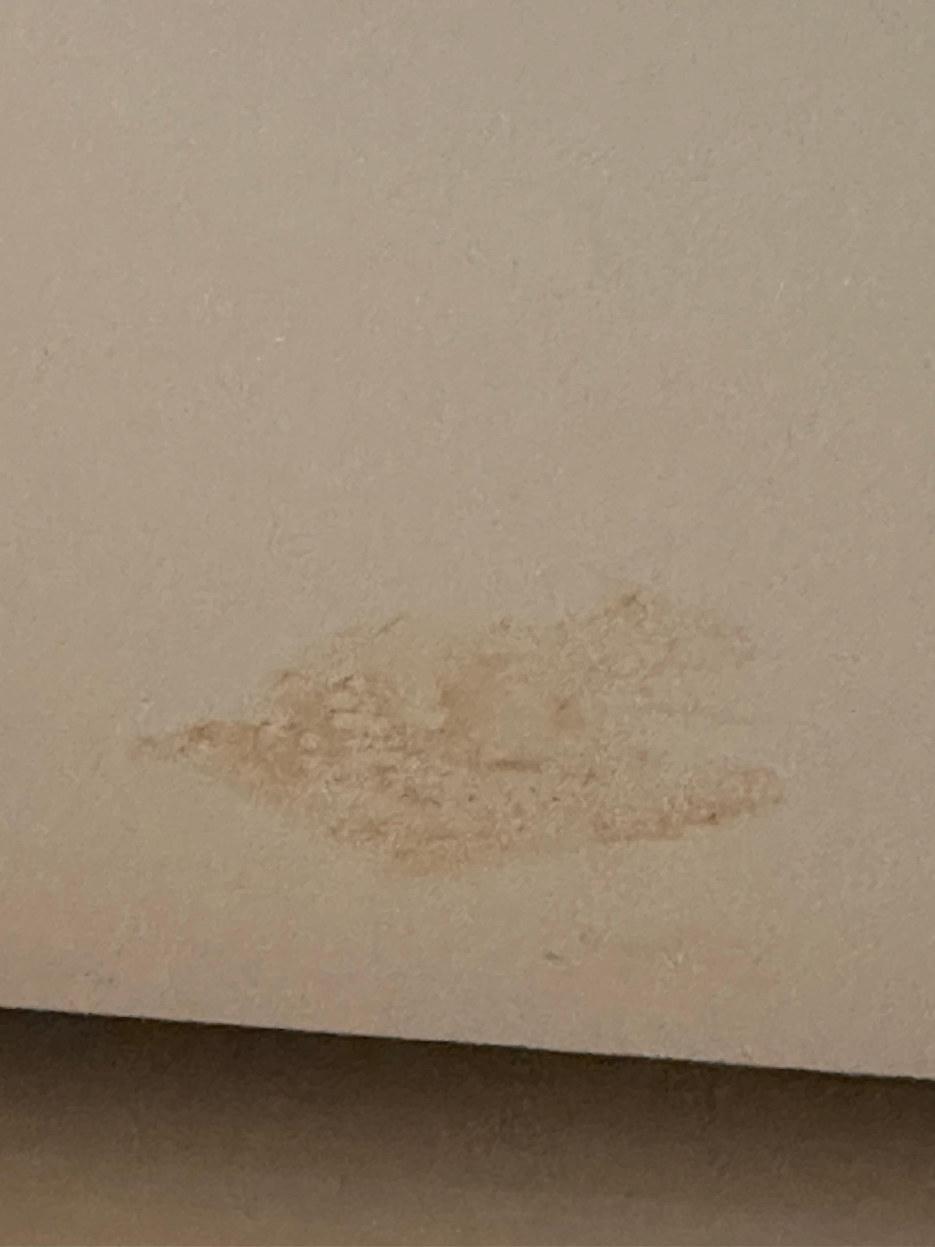 Stain on children ceiling 