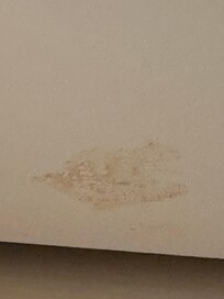 Stain on children ceiling