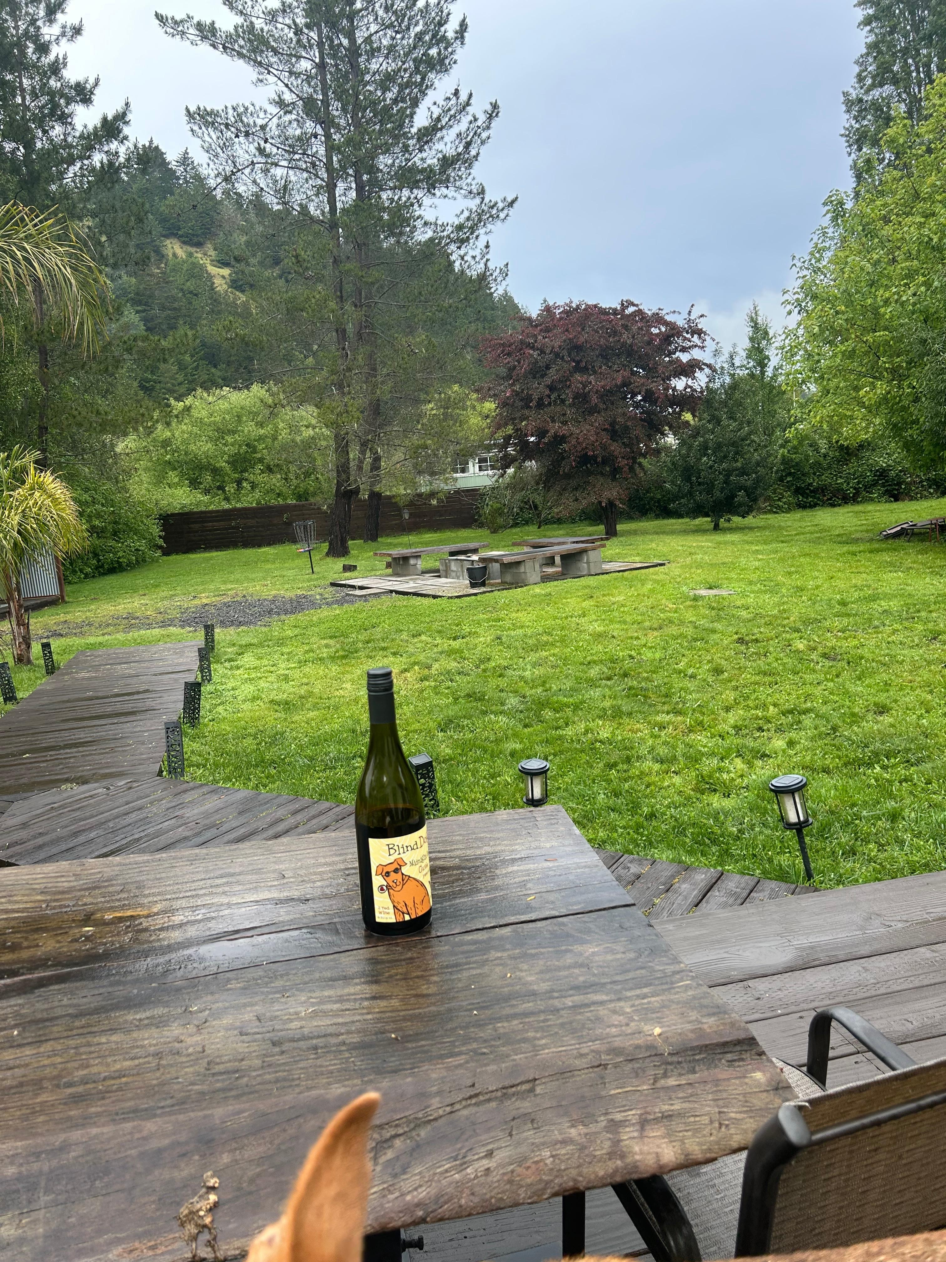 View from deck
