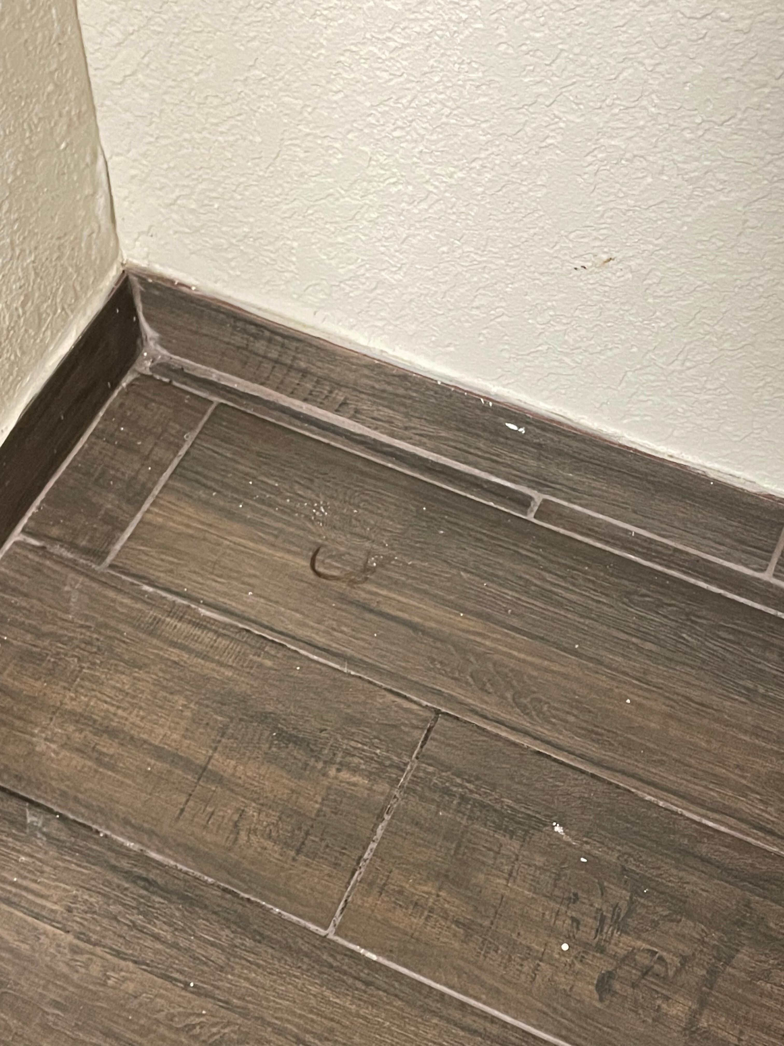 This is a lock of someone’s hair.