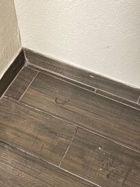 This is a lock of someone’s hair.