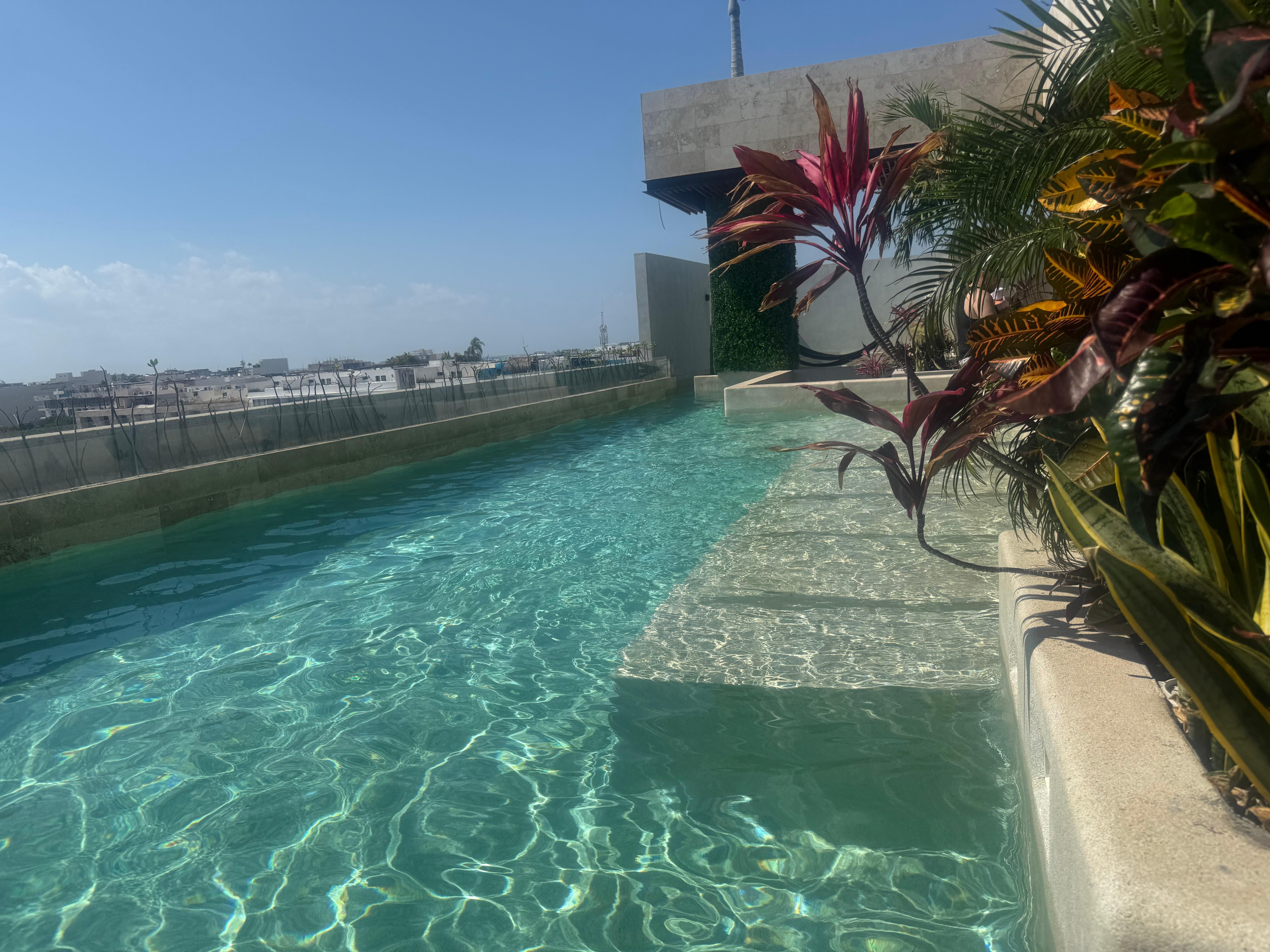 Rooftop pool. 