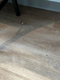 Floor under the table. I asked for it to be cleaned and no response.
