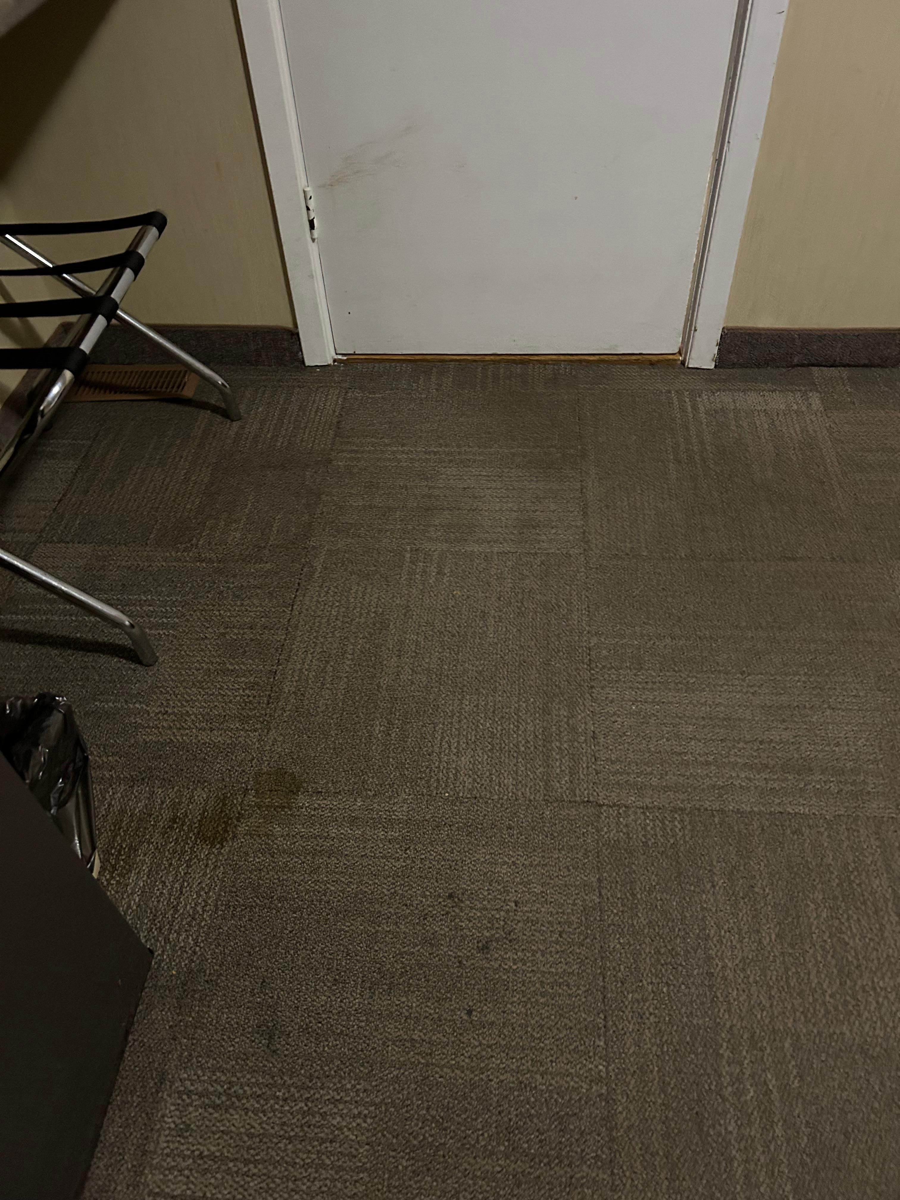 Dirty carpet 