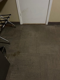Dirty carpet