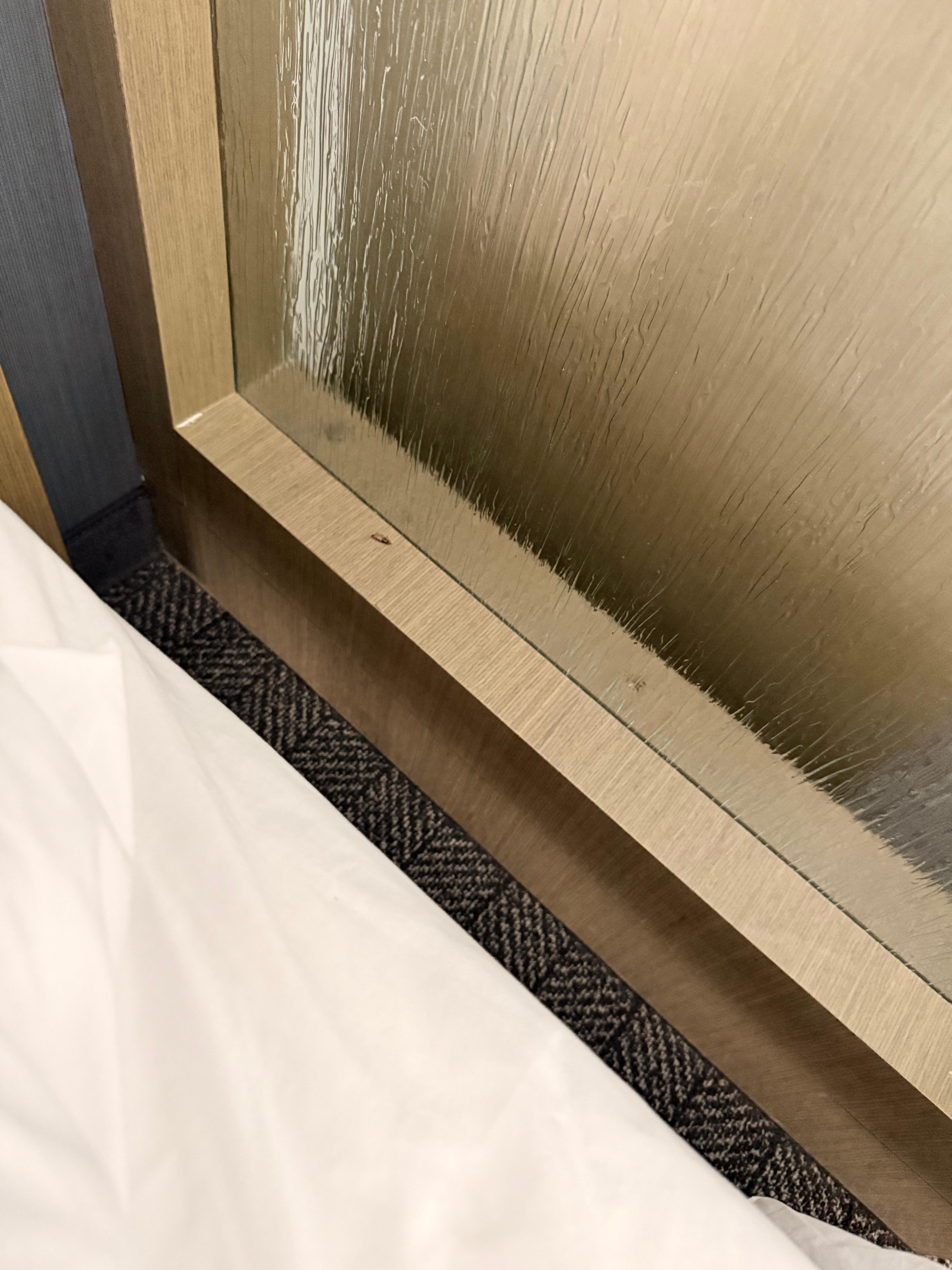 Roaches in the room next to the bed.