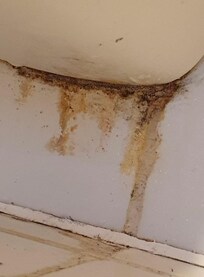 Unter der Toilette