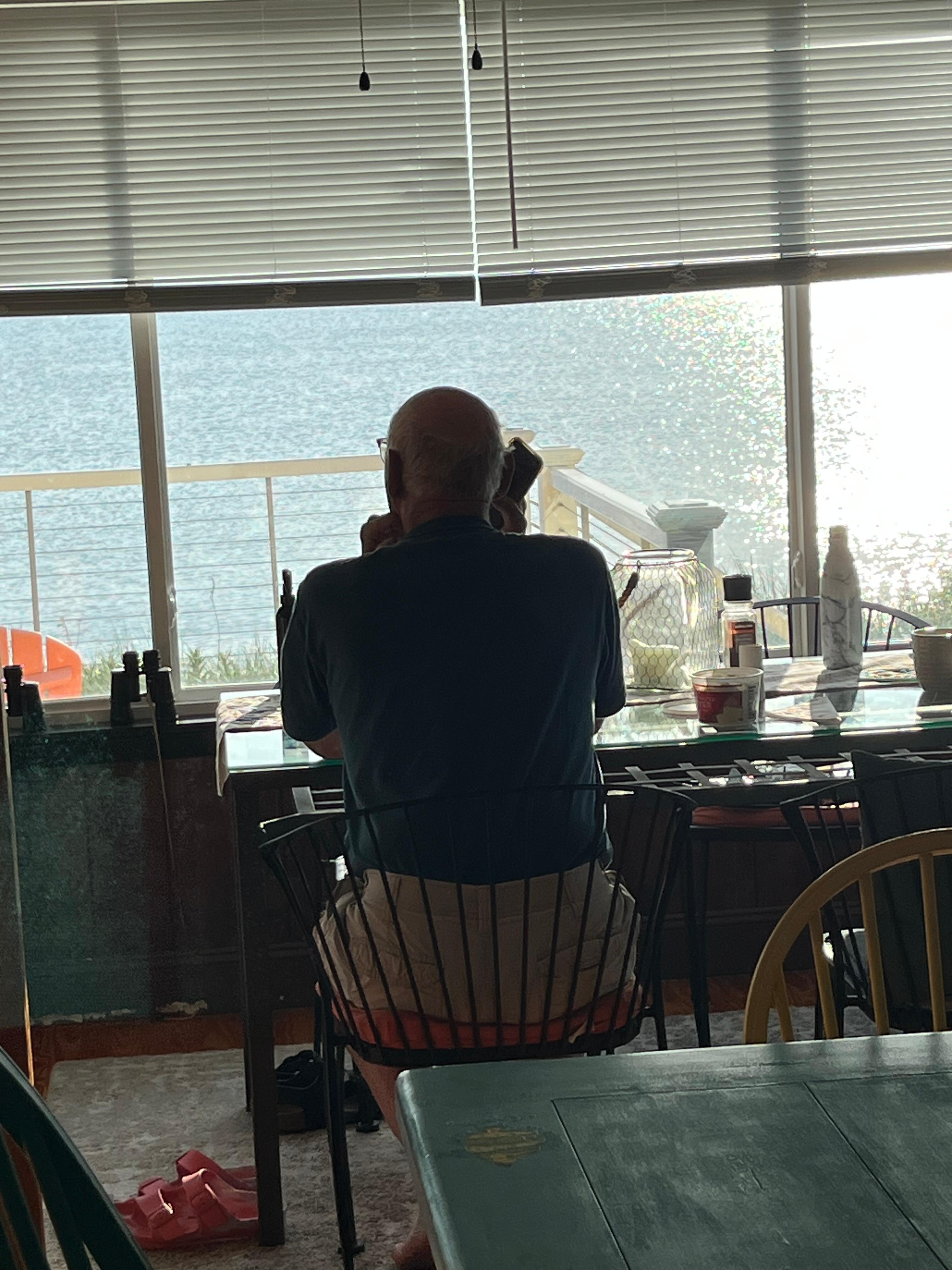 The view!