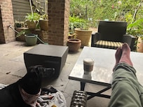 So peaceful out back, bird tweeting and peeking kitties.