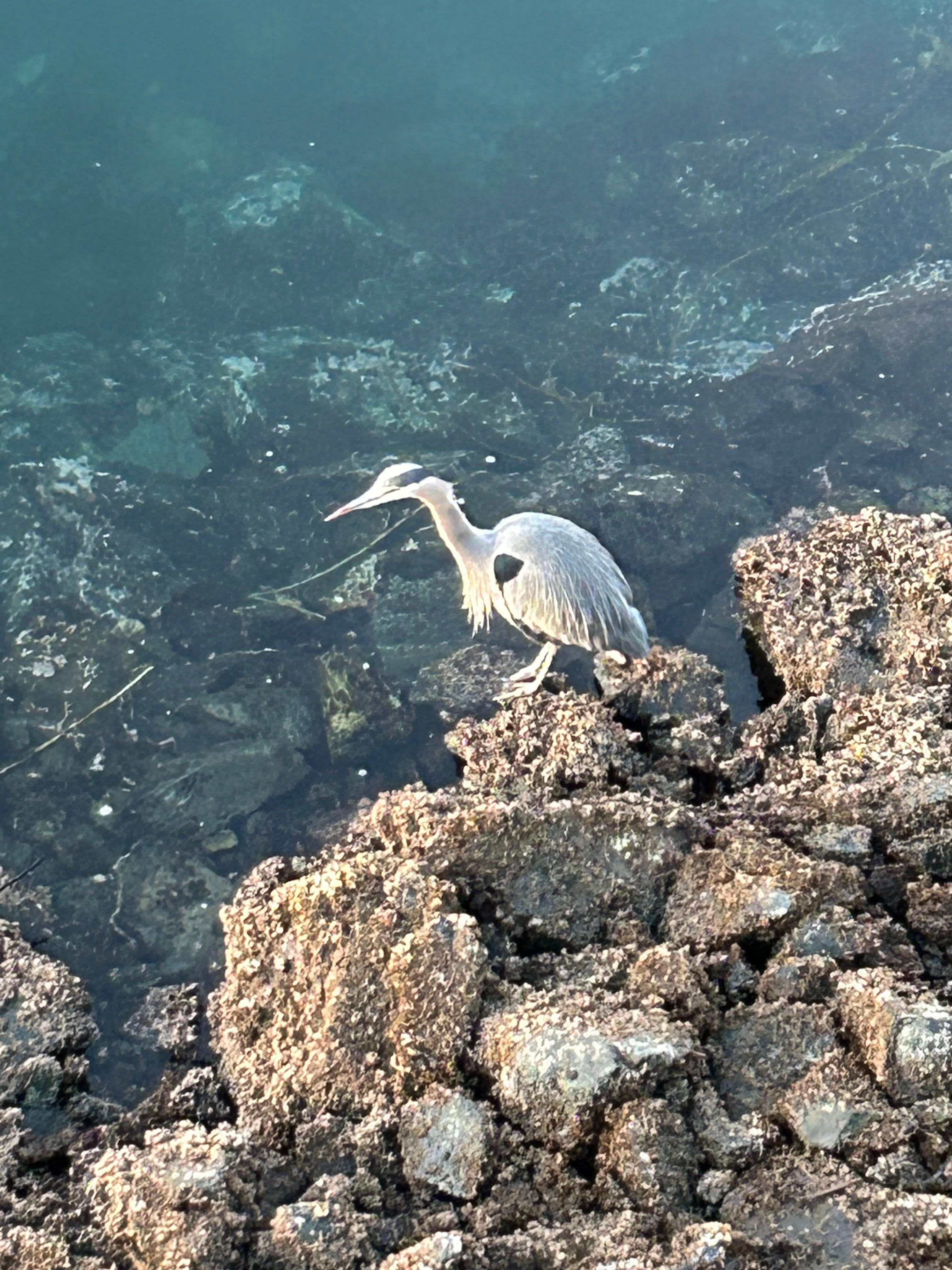 At the Breakwater