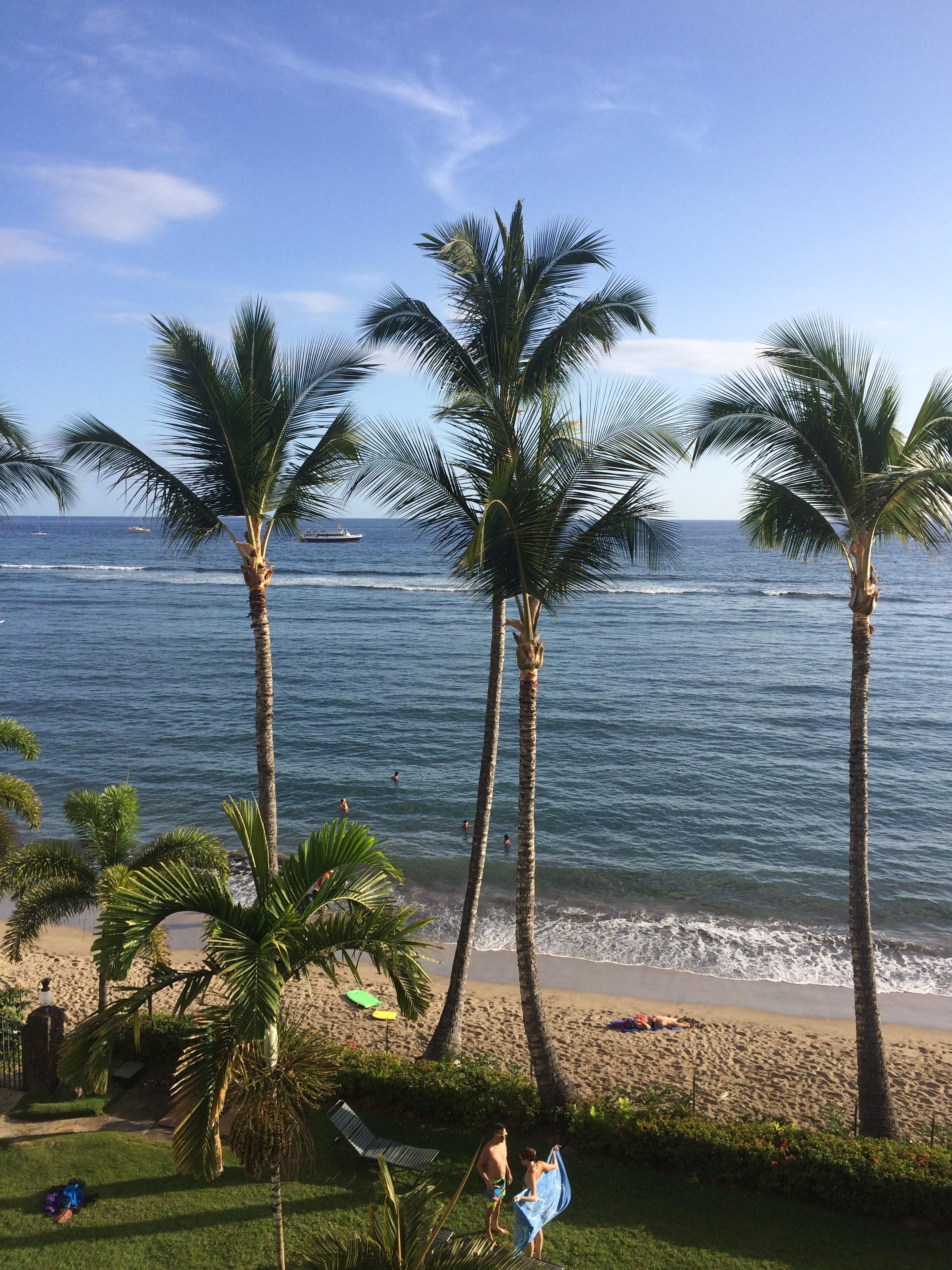 Unbelievable Lahaina Webcam The Hidden Truth – Discover The Shocking Details - 7wuaesi