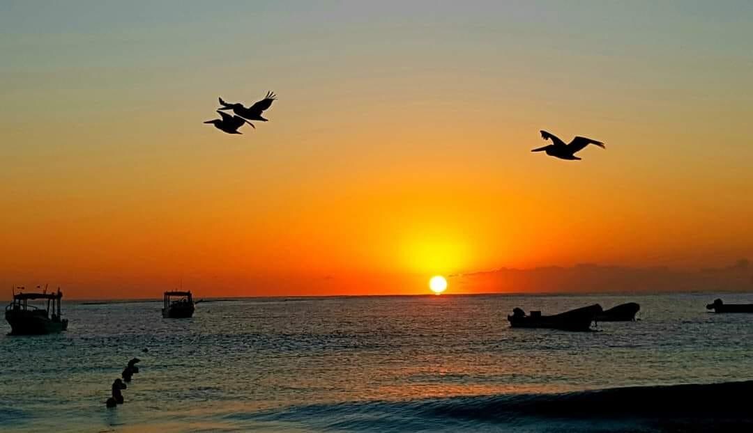 Un hermoso atardecer