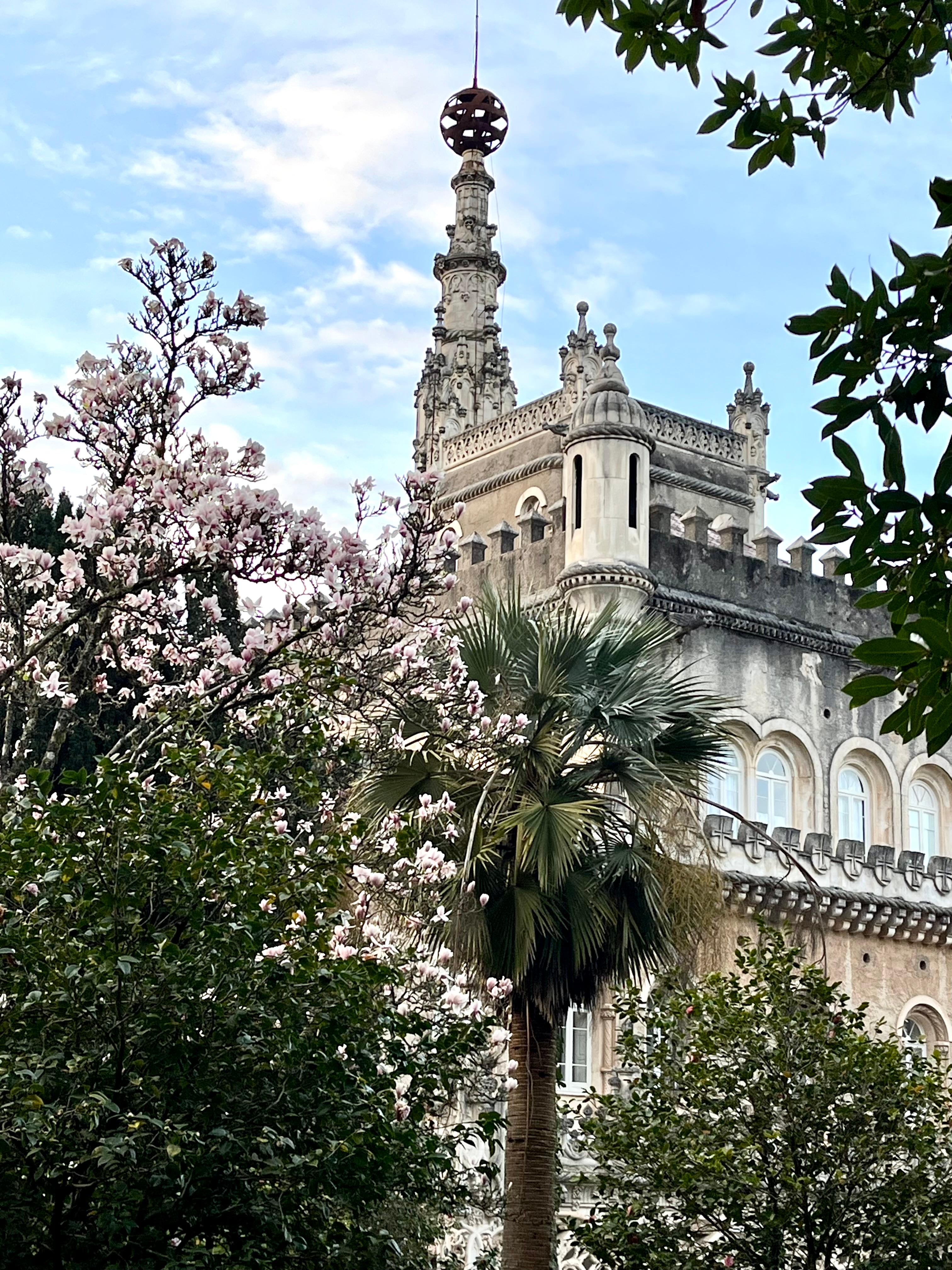 Bussaco Palace Hotel from a side path