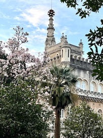 Bussaco Palace Hotel from a side path