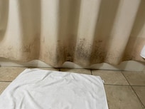 Shower curtain