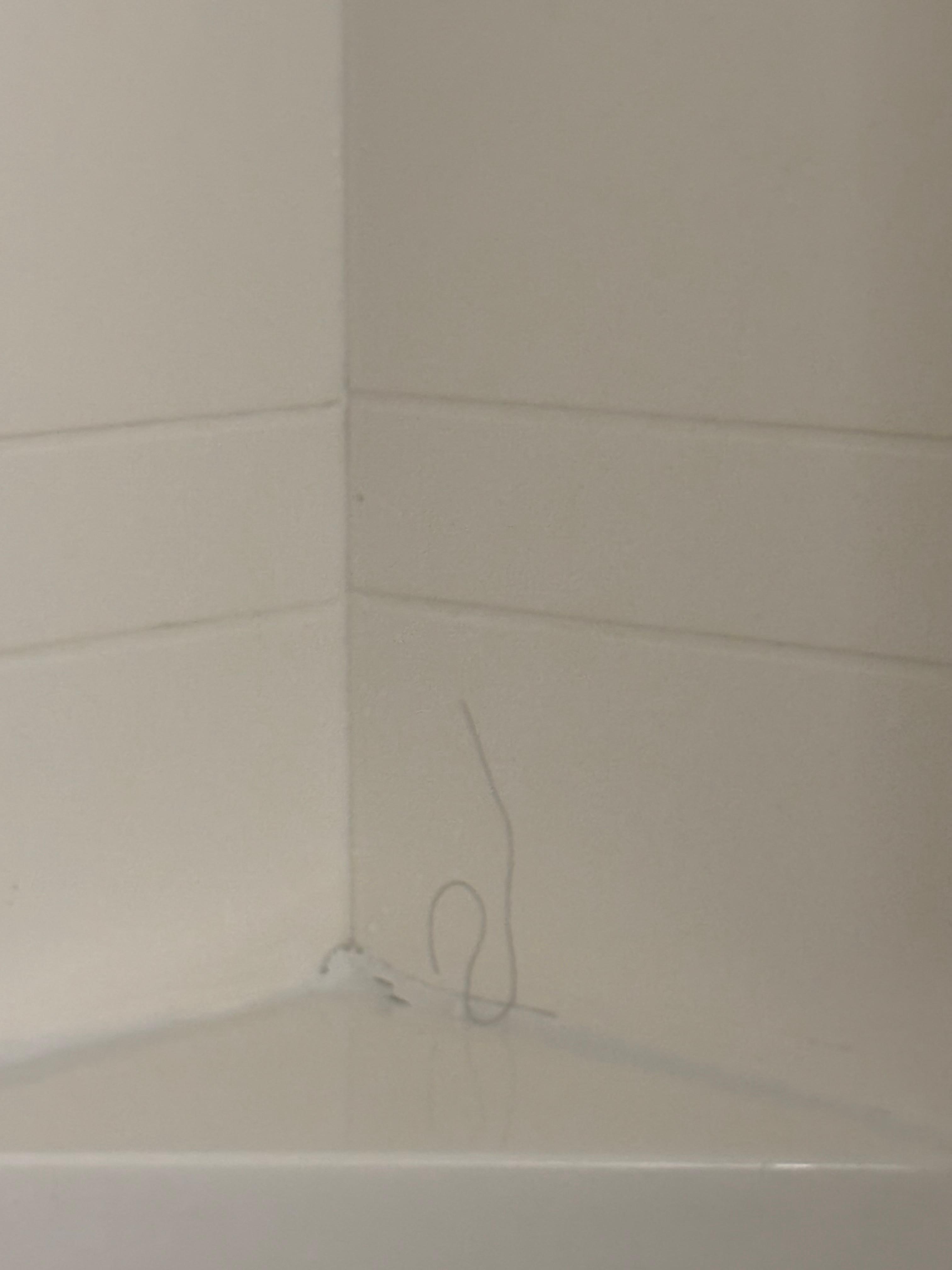 Hair Found in Tub / Shower