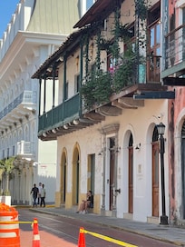 Our room with plants
