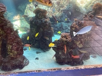 Aquarium