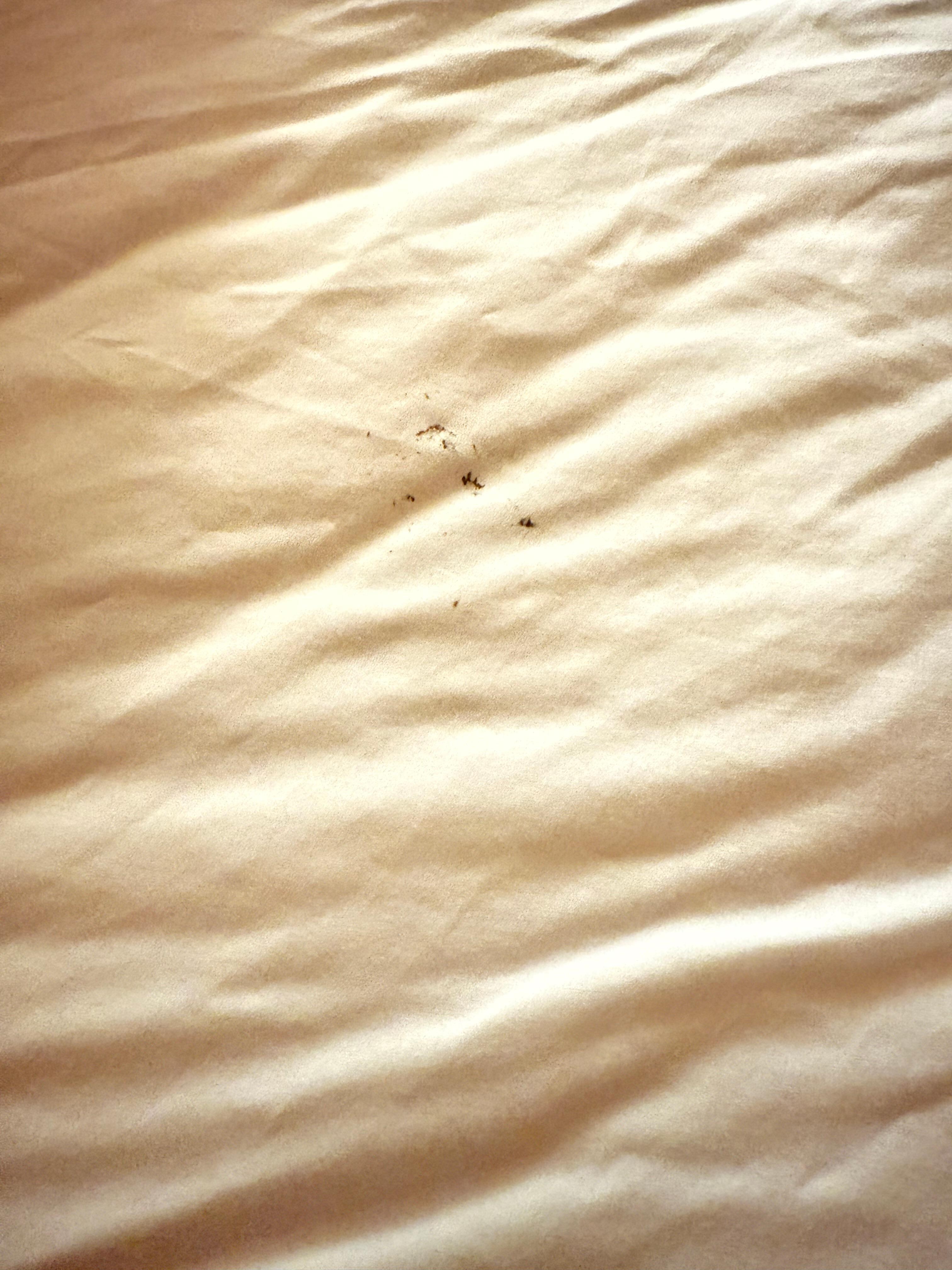 Something stained on the sheets.