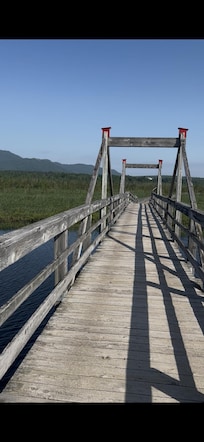 Chemin du marais