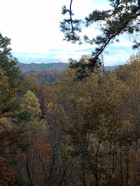 Beautiful mountain view from the back deck.