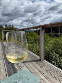 From the farmhouse back porch