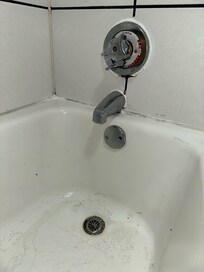 Mold in bsthtub